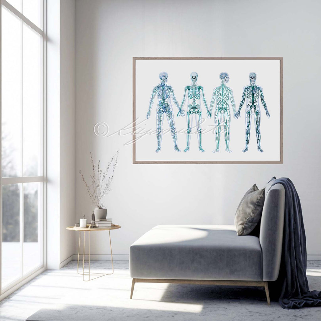 Human Anatomy Body System Poster Abstract Art