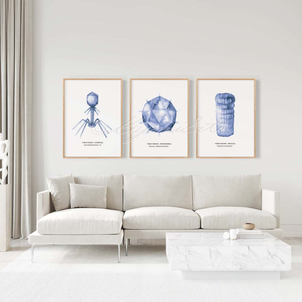 Virus shape Art Poster Set of 3