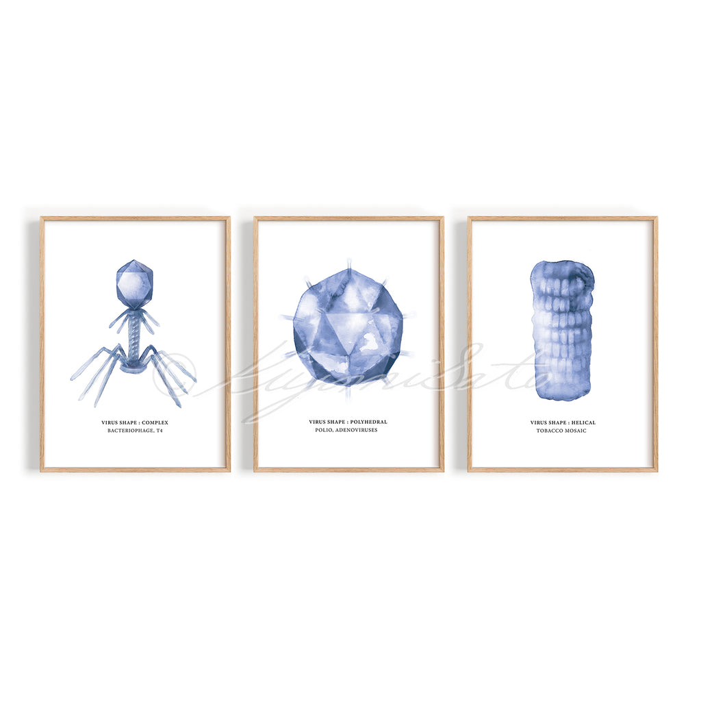 Virus shape Art Poster Set of 3