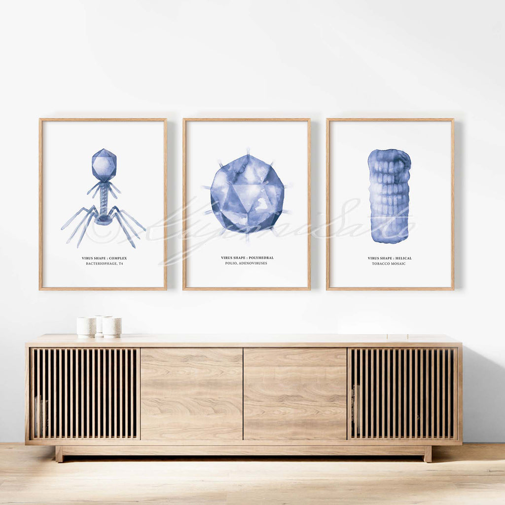 Virus shape Art Poster Set of 3