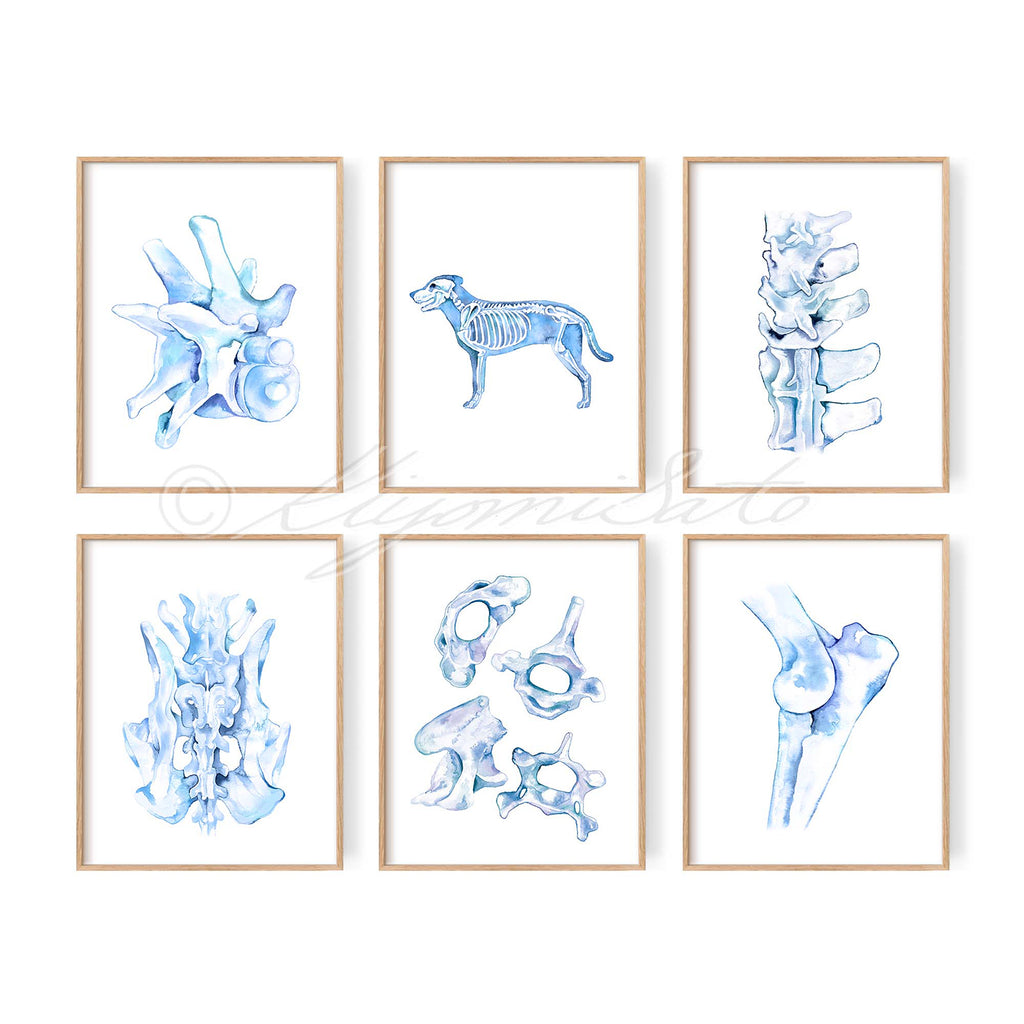 Dog Orthopedics Art poster set of 6 in Blue