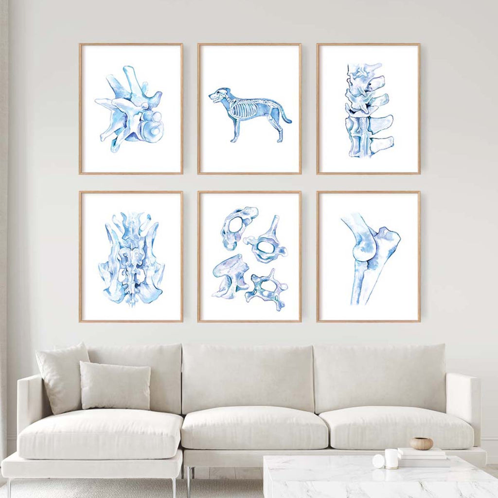 Dog Orthopedics Art poster set of 6 in Blue