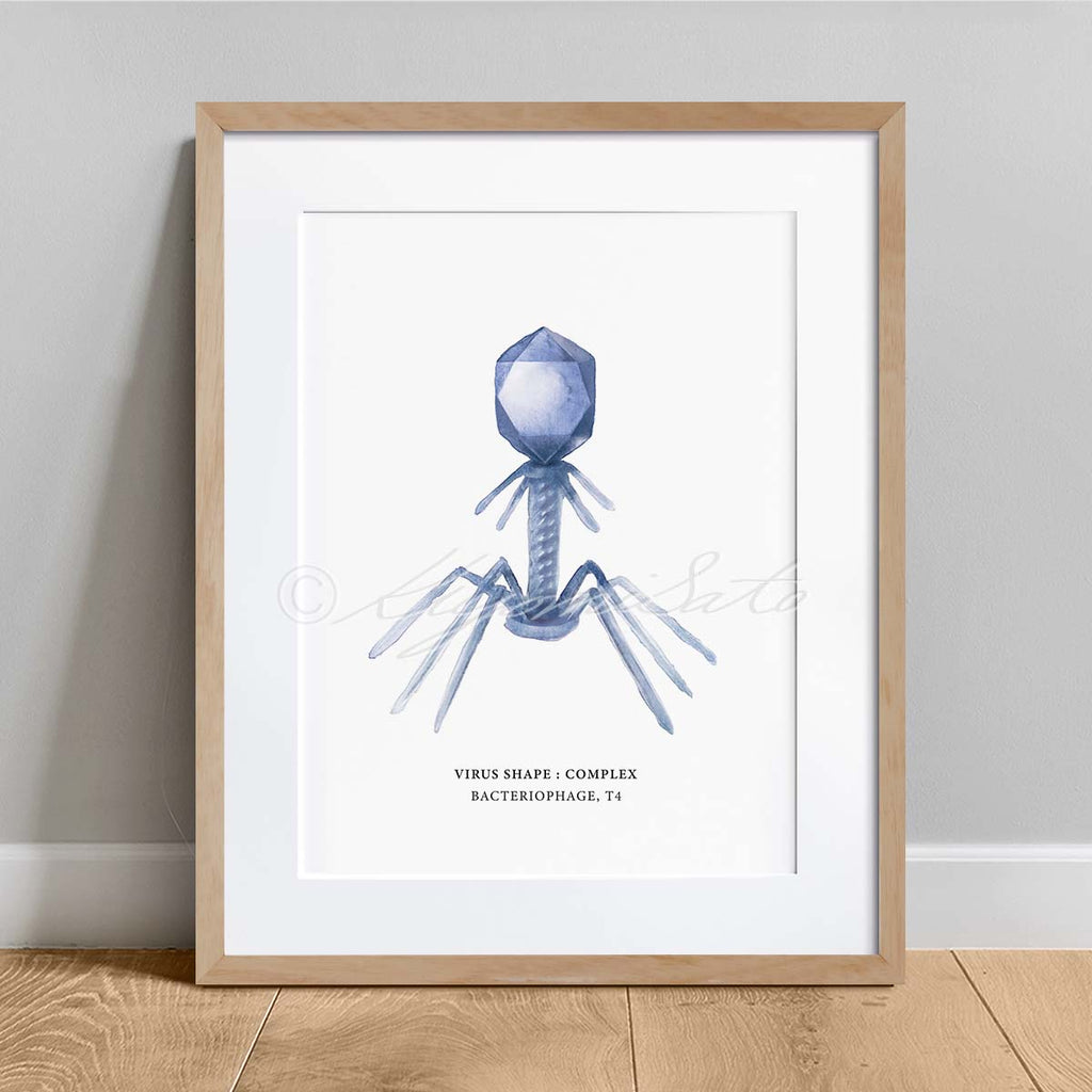 Virus shape Art Poster Set of 3