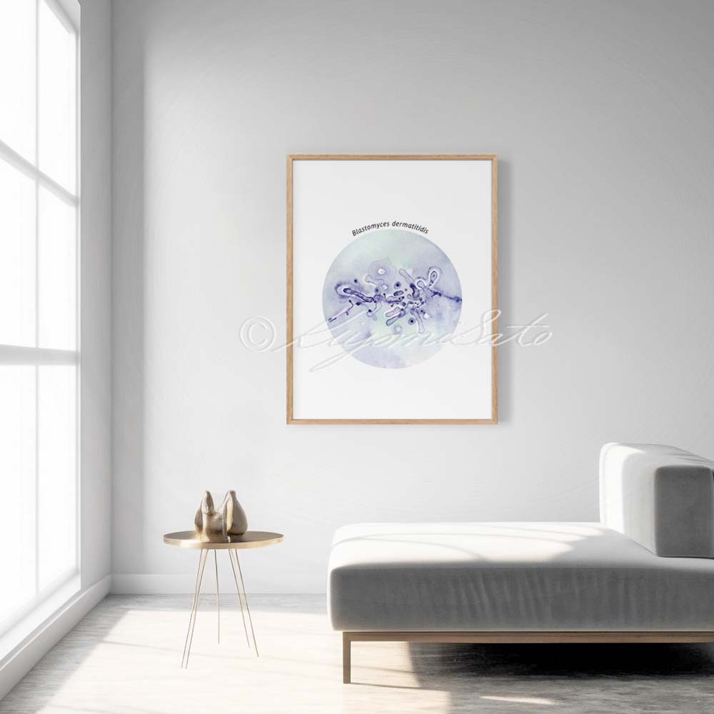 Blastomyces dermatitidis fungus art illustration poster