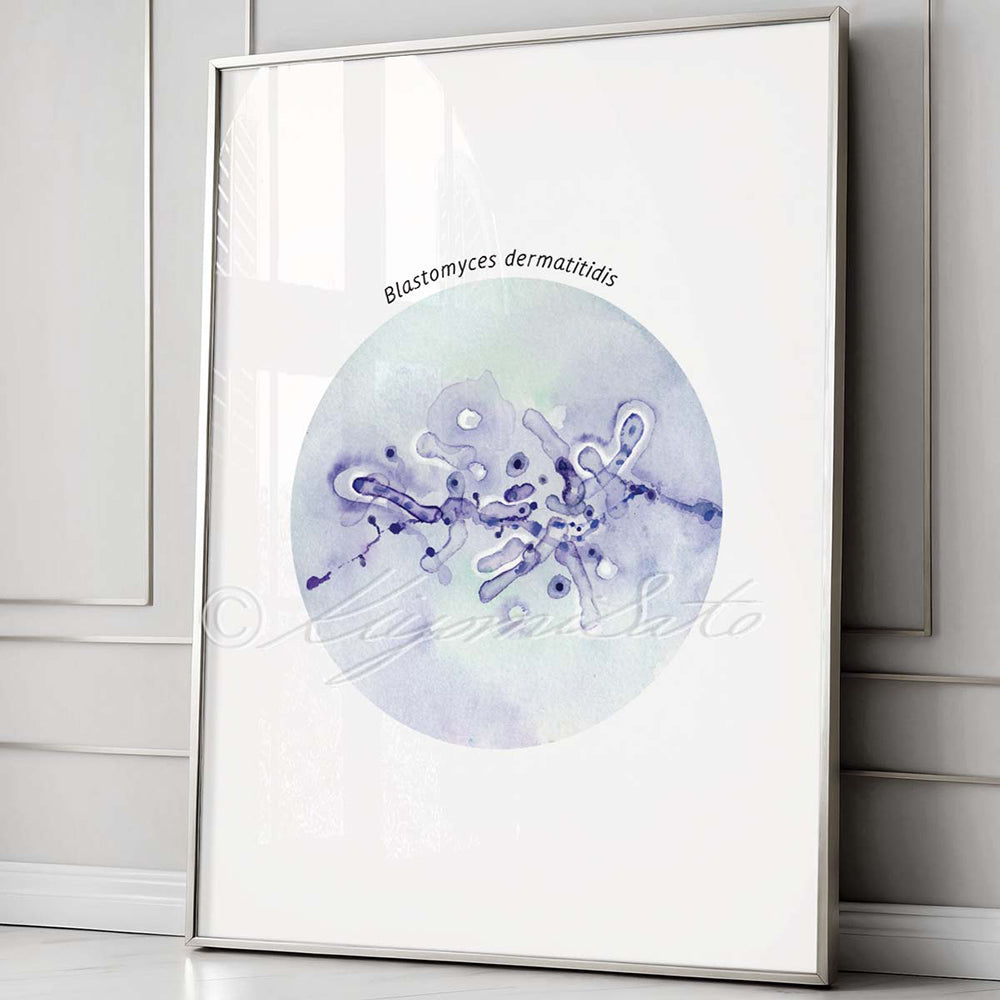 Blastomyces dermatitidis fungus art illustration poster