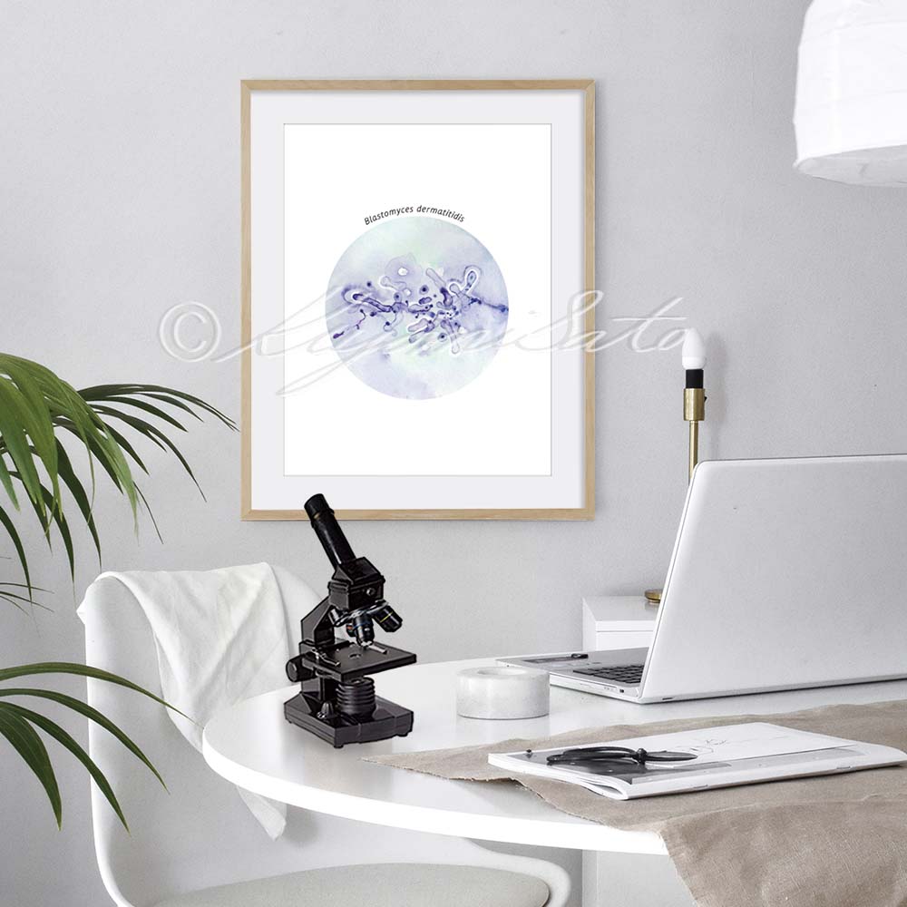 Blastomyces dermatitidis fungus art illustration poster