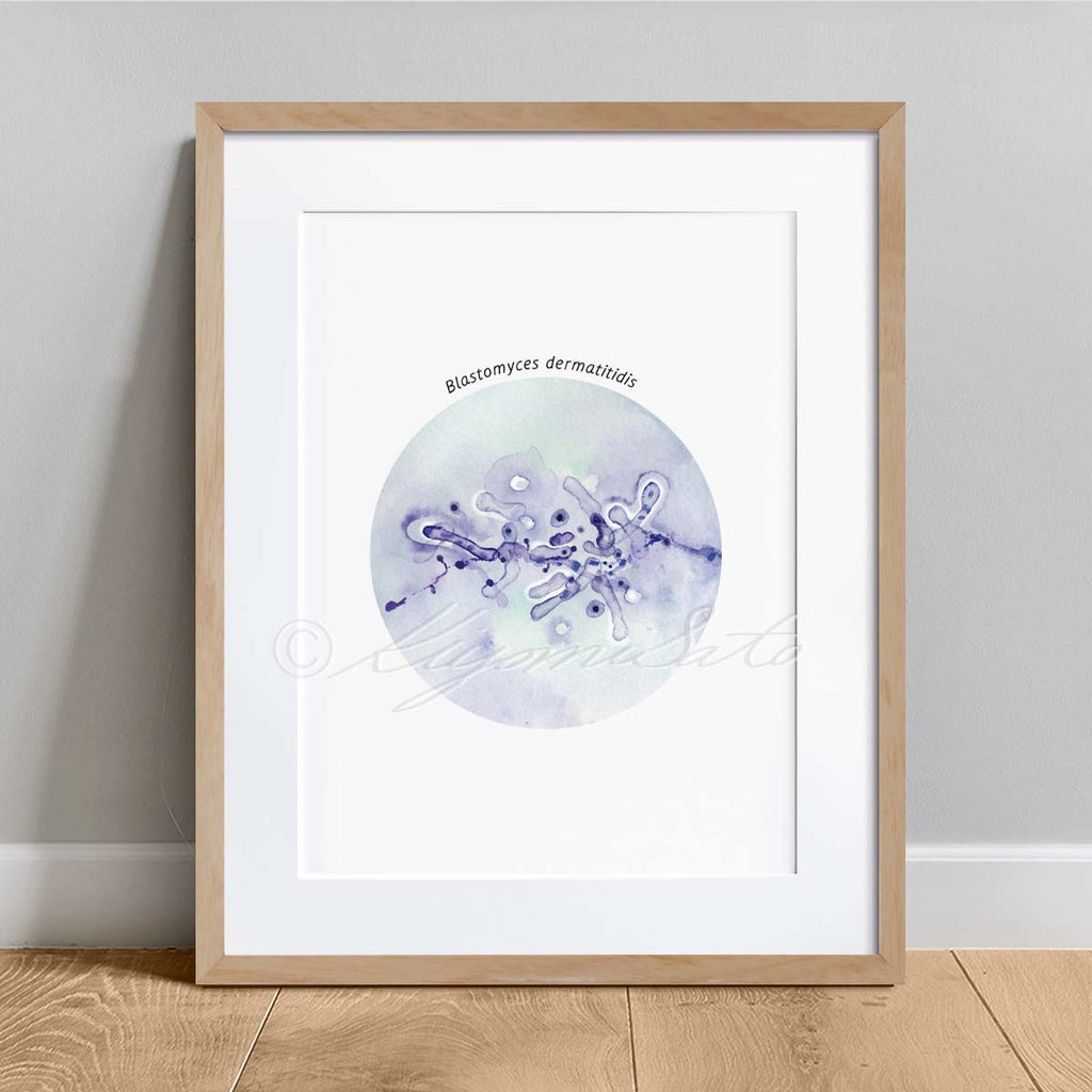 Blastomyces dermatitidis fungus art illustration poster