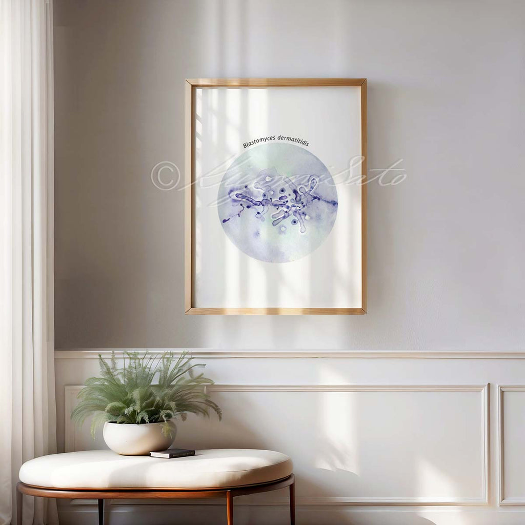 Blastomyces dermatitidis fungus art illustration poster