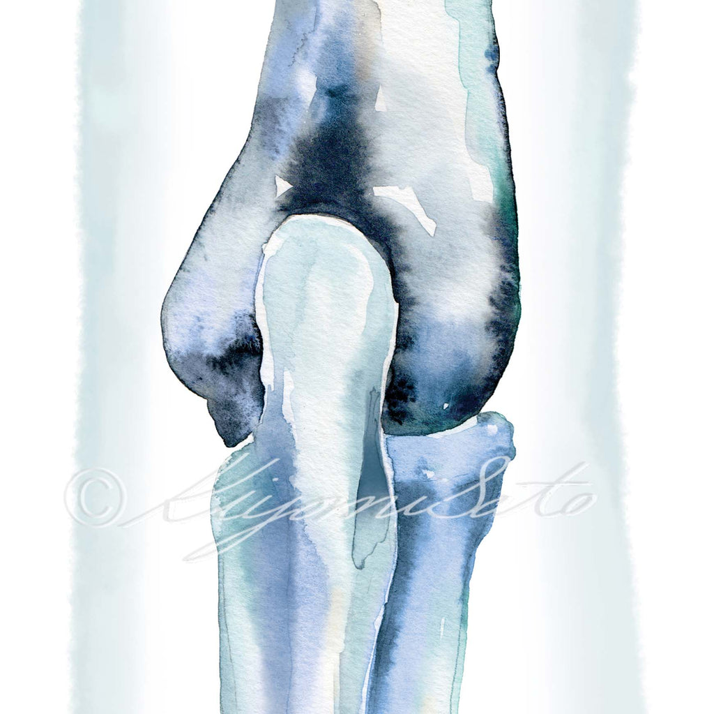 Elbow Joint Posterior View Abstract Art