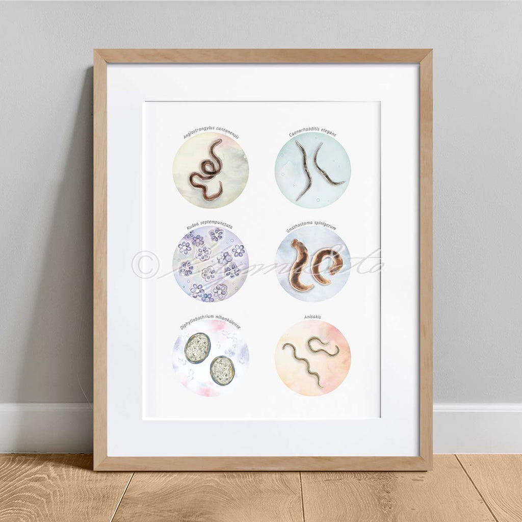 Collection of Fish borne parasites Art Poster