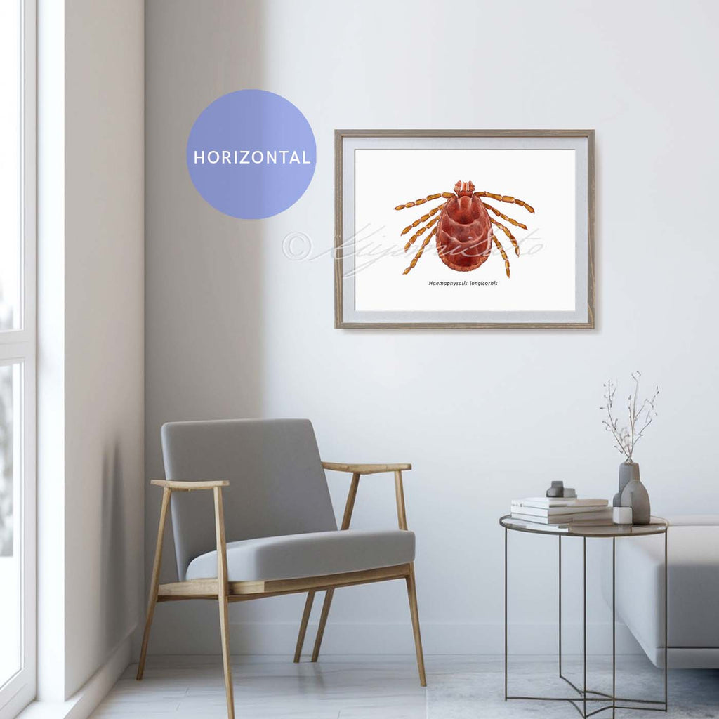 Asian longhorned tick, Haemaphysalis longicornis Art Poster