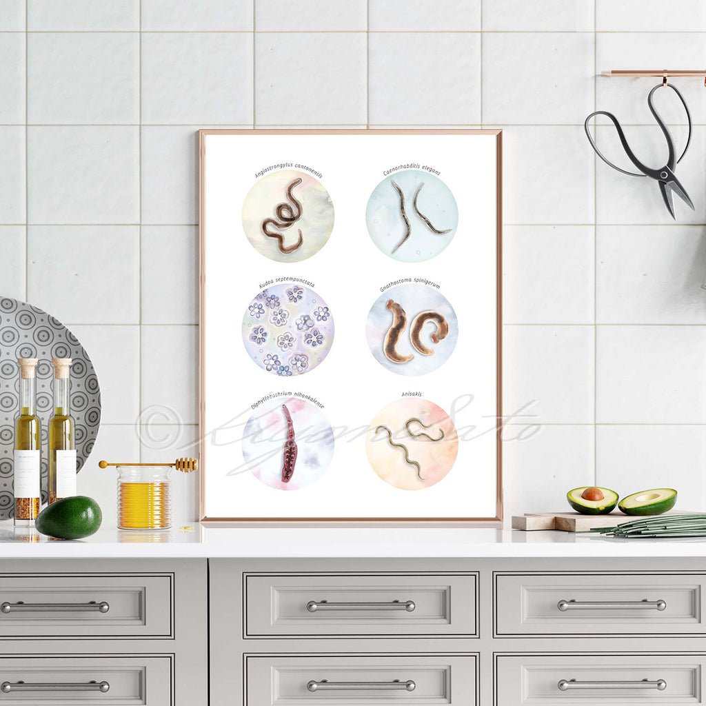 Collection of Fish borne parasites Art Poster