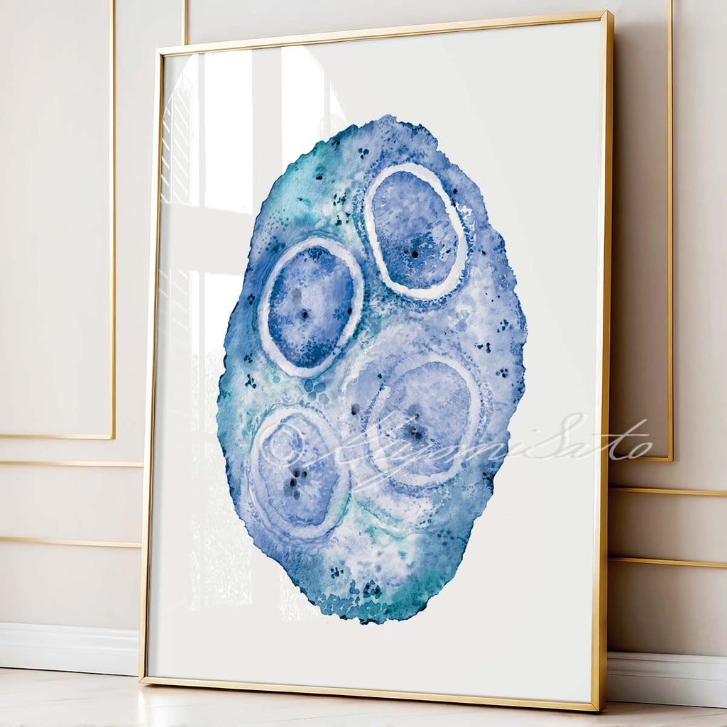 Wolbachia Art Print