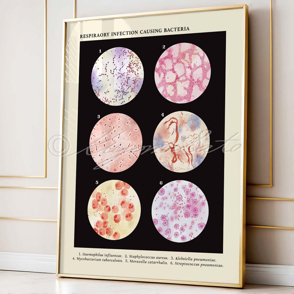 Respiratory Infection Causing Bacteria Collection Vintage Style Science Art Poster