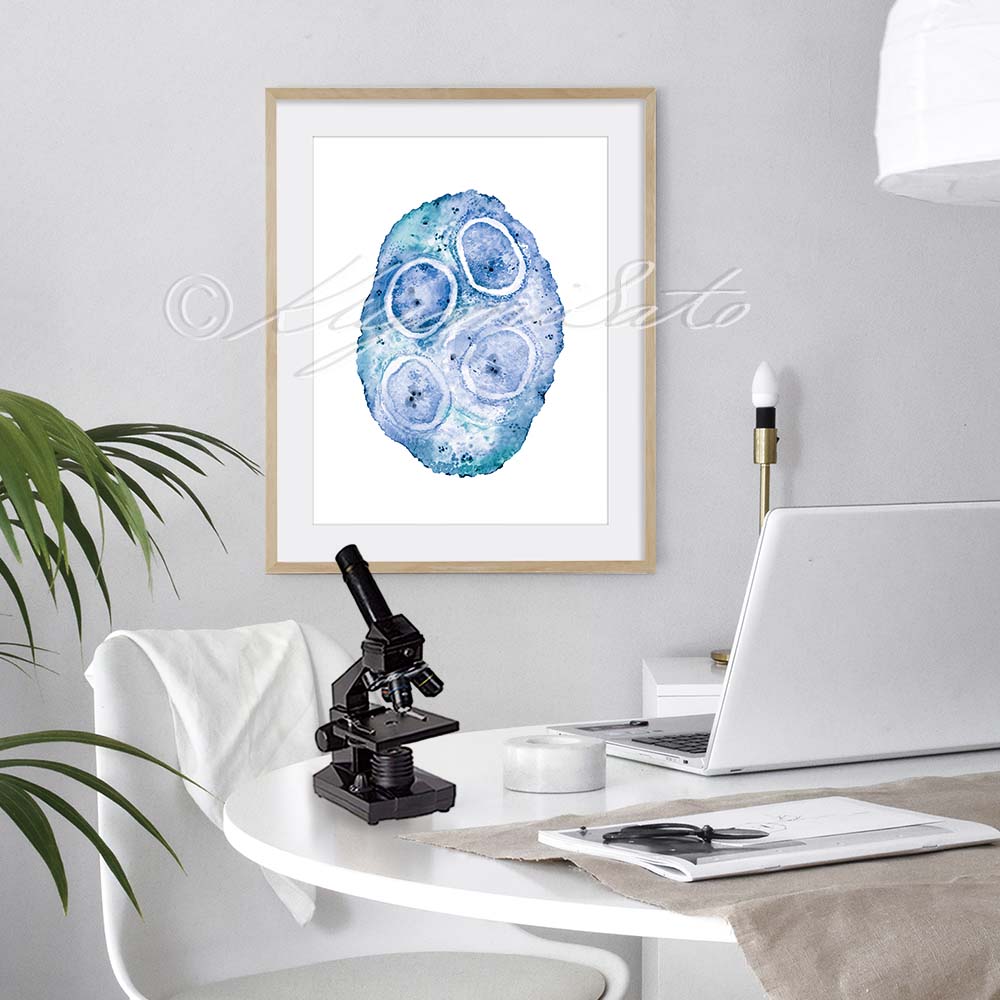 Wolbachia Art Print