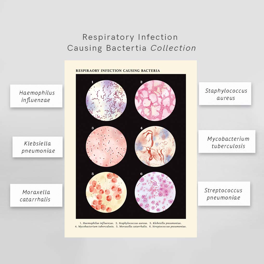 Respiratory Infection Causing Bacteria Collection Vintage Style Science Art Poster