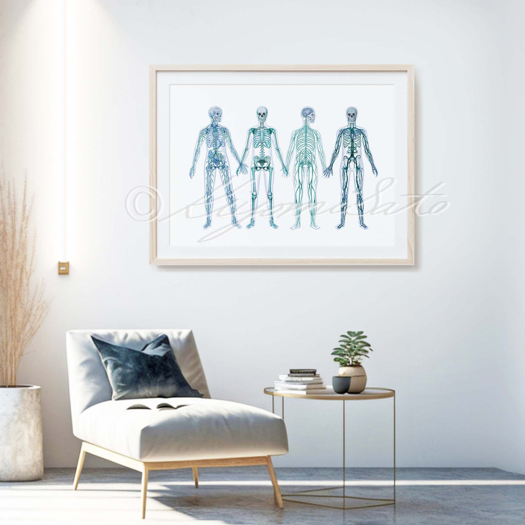 Human Anatomy Body System Poster Abstract Art