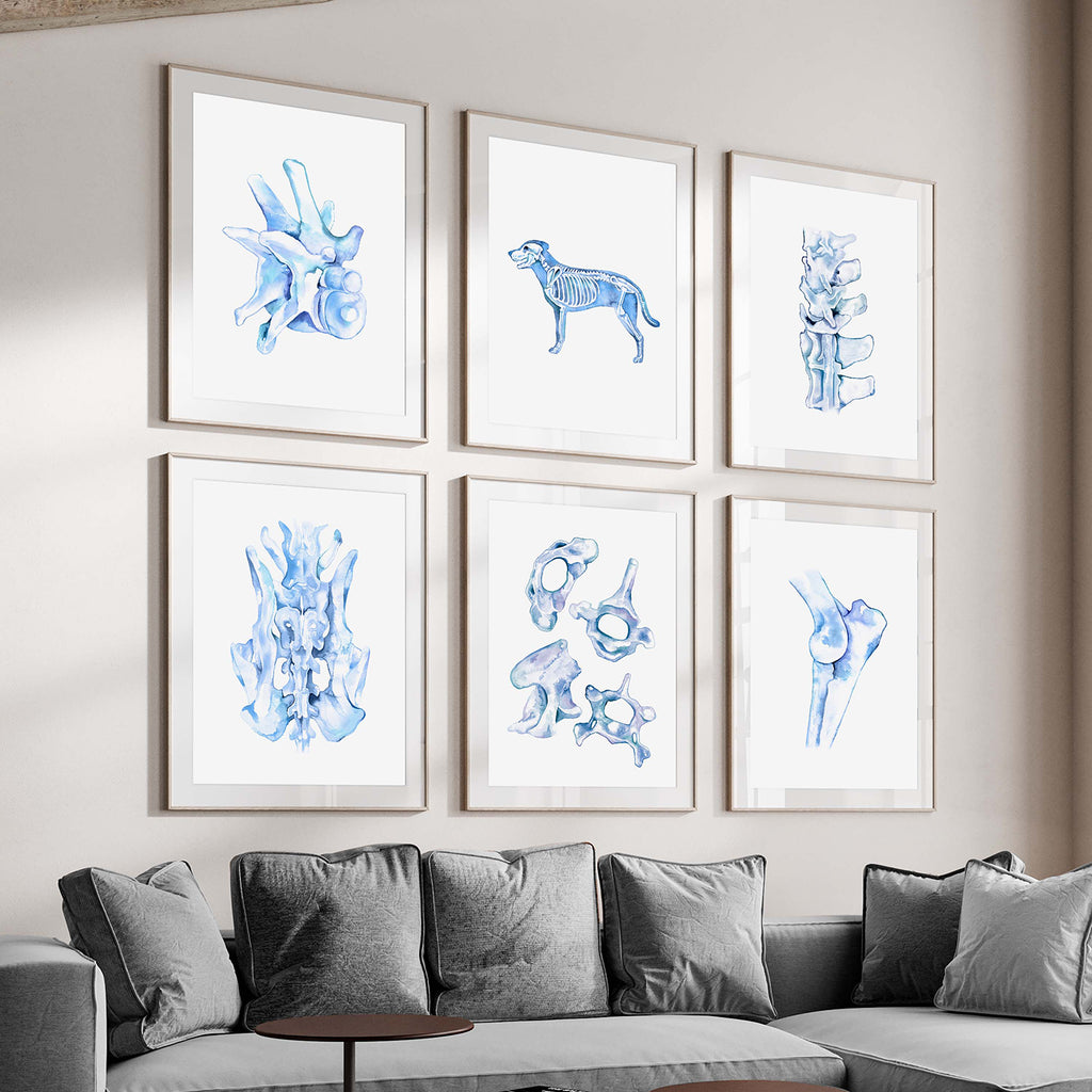 Dog Orthopedics Art poster set of 6 in Blue