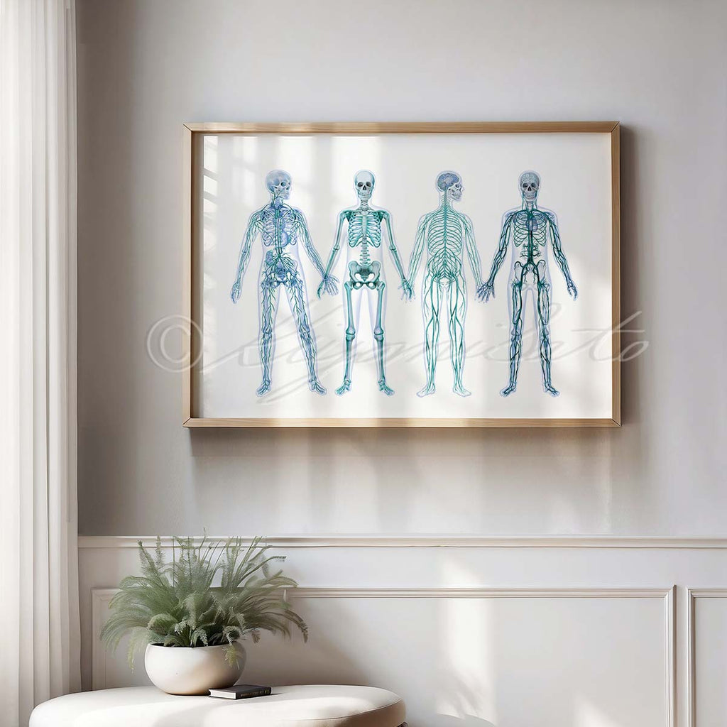 Human Anatomy Body System Poster Abstract Art