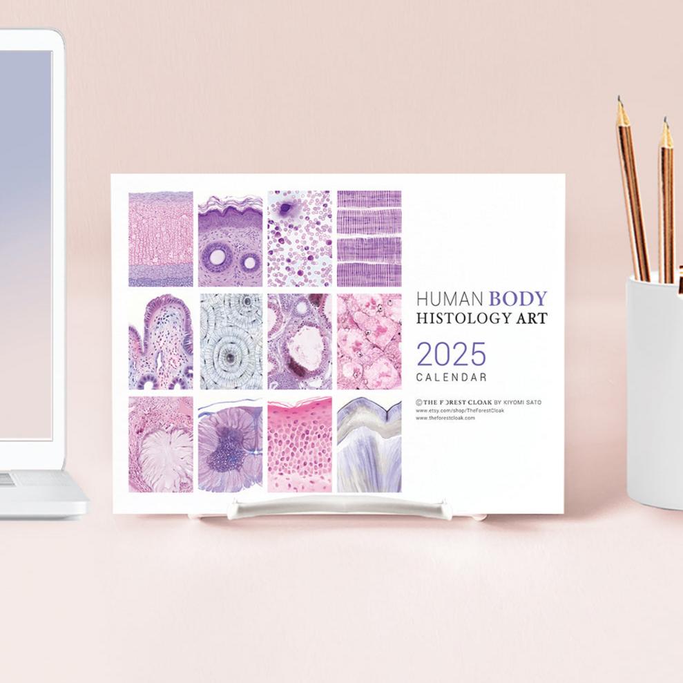 2025 Human Body Histology Art Desk Calendar